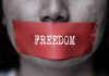 Media Freedom Report