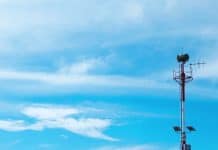 Expanded digital radio network