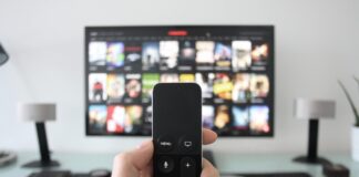 Agencija za elektronske medije, AEM CG, Analiza programske strukture, programska struktura regionalnih emitera, Adria TV, TV Boin, TV Corona, Jadran TV, TV 7, Srpska TV, TV Sun, TV Teuta,