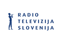 Društvo novinara Slovenij, DNS, TV Slovenija, potezi vodstva, TV Slovenije, Slovenska tiskovna agencija, STA, Jadranka Rebernik