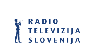 Društvo novinara Slovenij, DNS, TV Slovenija, potezi vodstva, TV Slovenije, Slovenska tiskovna agencija, STA, Jadranka Rebernik