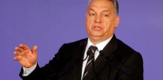 ulozi mađarskog kapitala u stranim medijima, mađarski kapital u stranim medijima, Međunarodni institut za štampu, Viktor Orban, Janes Janša, V4NA, Balkanska istraživačka mreža, BIRN, Atlatszo, Media Freedom Rapid Response, Fondacija Friedrich Naumann