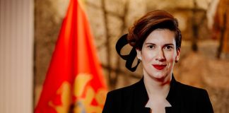 Maša Vlaović, zakon, Media centar, elektronski mediji, RTCG, Agencija za elektronske medije, Kristijan Timonije,