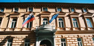 RTV Slovenija, Ustavni sud, Društvo novinara Slovenije, DNS, Zakon o RTV SLO,