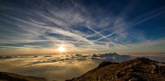 A1 Telecom Austria Group, Blue Ant Media, A1 PayTV, Love Nature, Chiara McKee,