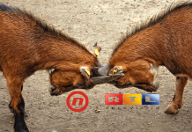 RTL Croatia, Nova TV, Jan Vlček, CME Group, Stella Litou, RTL group, Nova TV Group, AGB Nielsen,