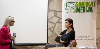 SMCG, psihološka pomoć, novinari, Dragana Đokić, Radiša Šćekić, radionica