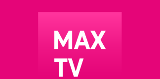 Slaviša Lekić, Gruntovčani, Radio O.K., Kohavision, Radio Laus, MAX TV