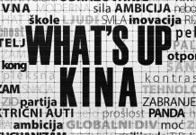 Uskoro novi serijal Gorana MIlića