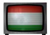 Will the fall of Viktor Orbán create problems for commercial TV channels TV2 and RTL?
